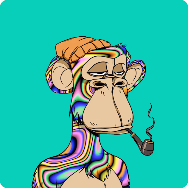 collage image-1 for the collection