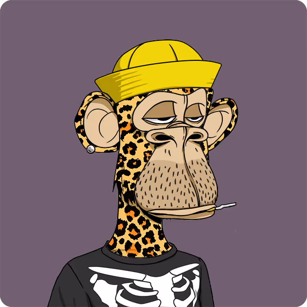 collage image-5 for the collection